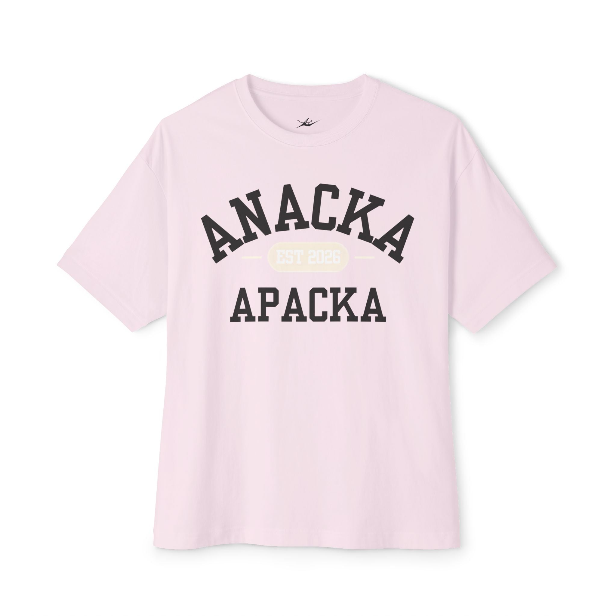Unisex Anacka Apacka Vintage Boxy T-Shirt Secondary image